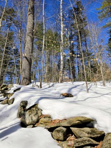 Lot 10c Staples Pond Road Temple ME 04984