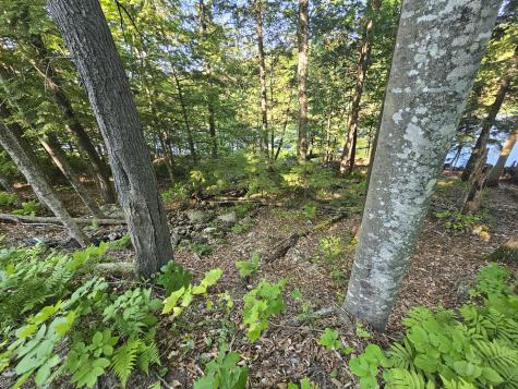 PL5,6,9,10 Great Moose Drive Hartland ME 04493