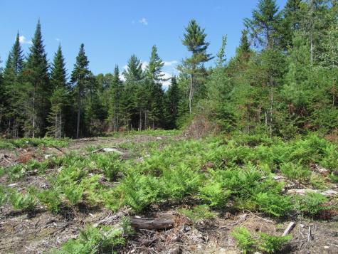 929 Center Hill Road Weld ME 04285