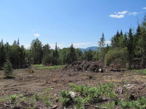 929 Center Hill Road Weld ME 04285