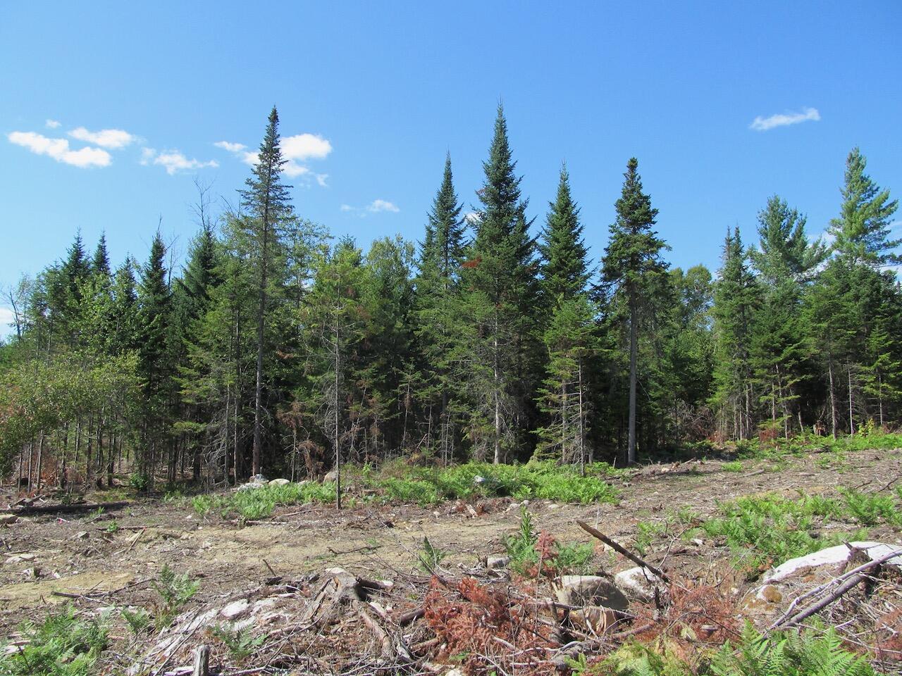 929 Center Hill Road Weld ME 04285