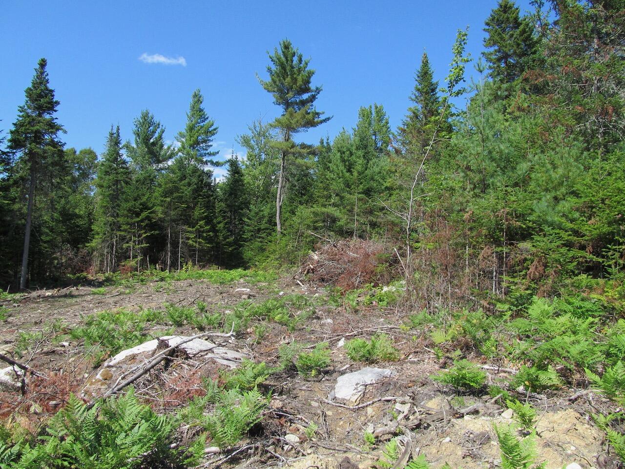 929 Center Hill Road Weld ME 04285