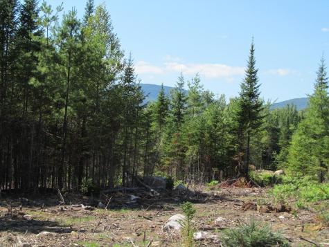 929 Center Hill Road Weld ME 04285