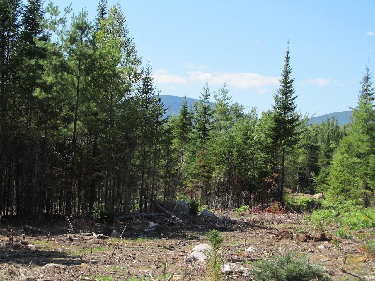 929 Center Hill Road Weld ME 04285