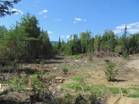 929 Center Hill Road Weld ME 04285