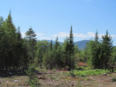 929 Center Hill Road Weld ME 04285