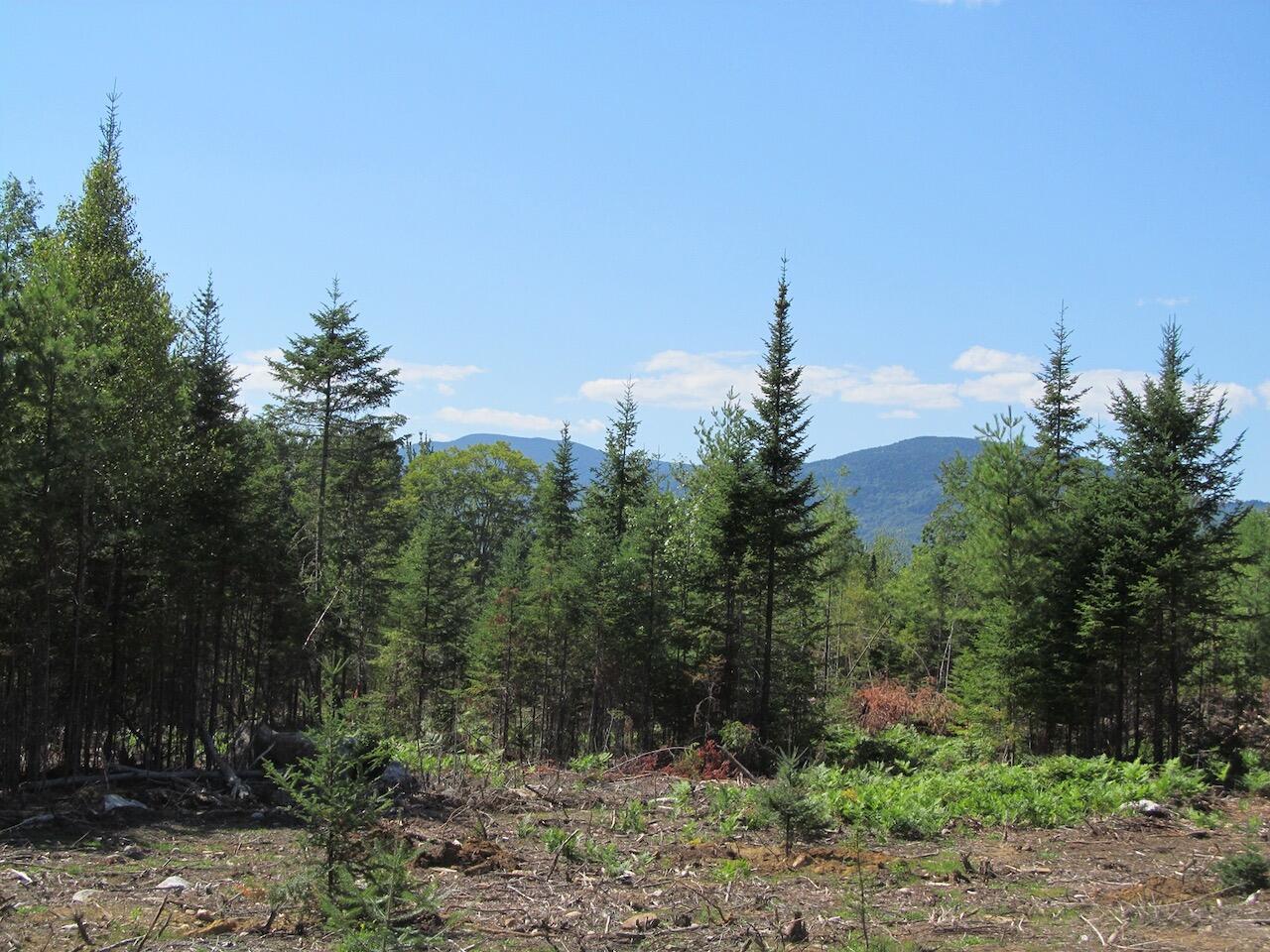 929 Center Hill Road Weld ME 04285