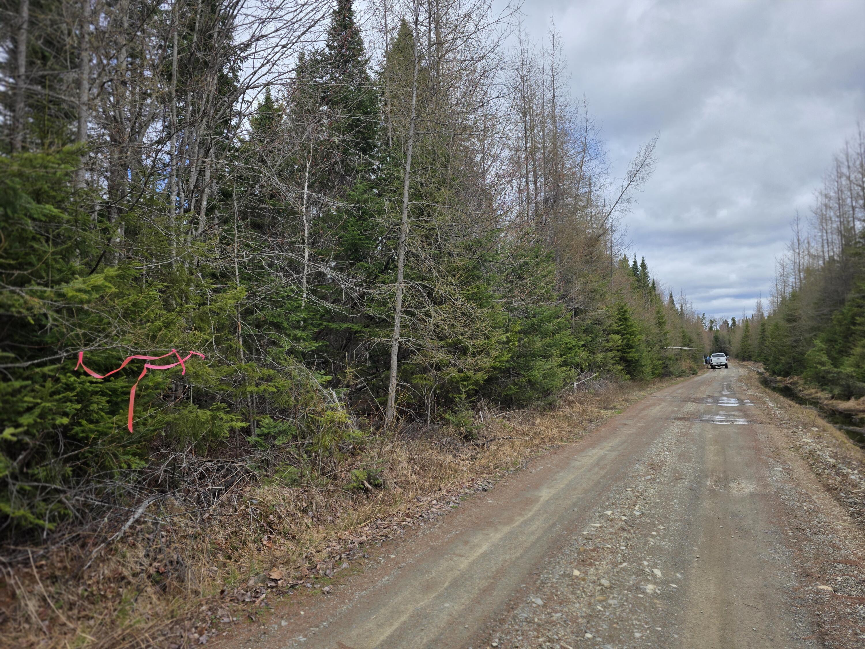 AR105P4 Jemtland Road Connor Twp ME 04762