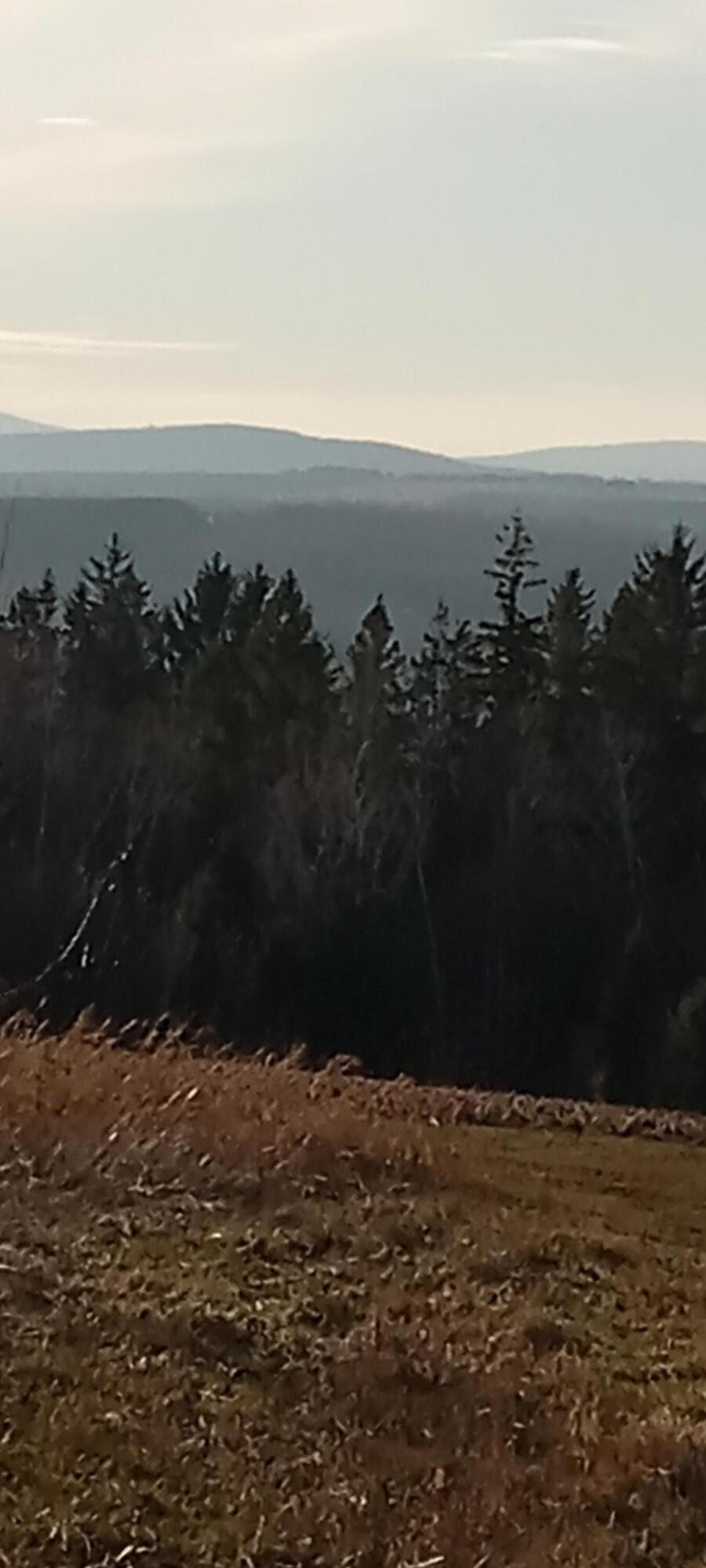 AR105P4 Jemtland Road Connor Twp ME 04762