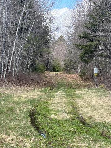 M13L30 Old Calais Road Danforth ME 04424