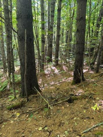 Lot 2 Oak Hill Road Smithfield ME 04978