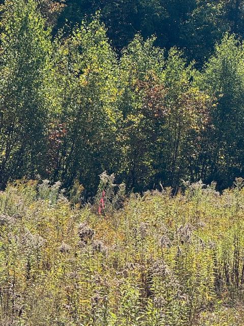 Lot 2 Oak Hill Road Smithfield ME 04978