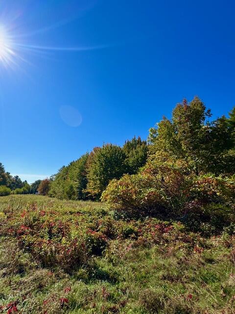 Lot 2 Oak Hill Road Smithfield ME 04978