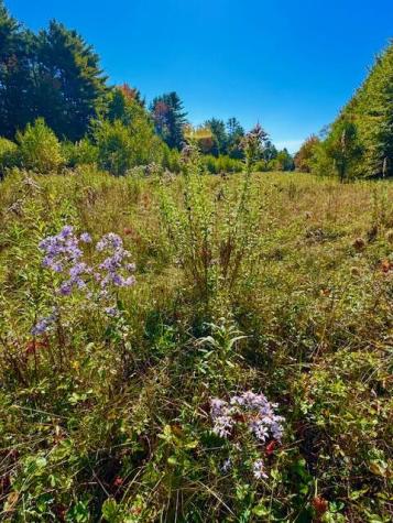 Lot 2 Oak Hill Road Smithfield ME 04978