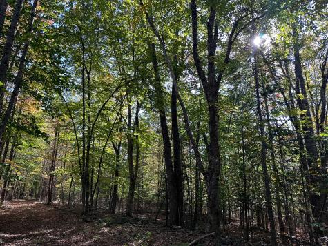 0 Ledge Hill Road Corinth ME 04427