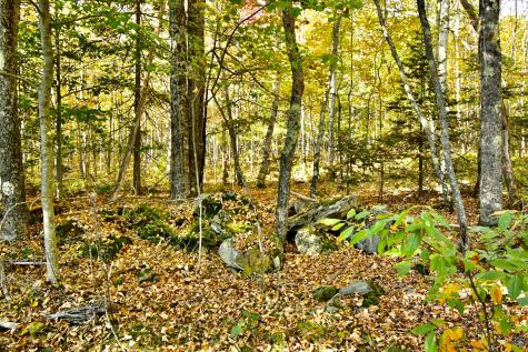 0 Ledge Hill Road Corinth ME 04427