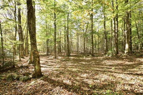 0 Ledge Hill Road Corinth ME 04427