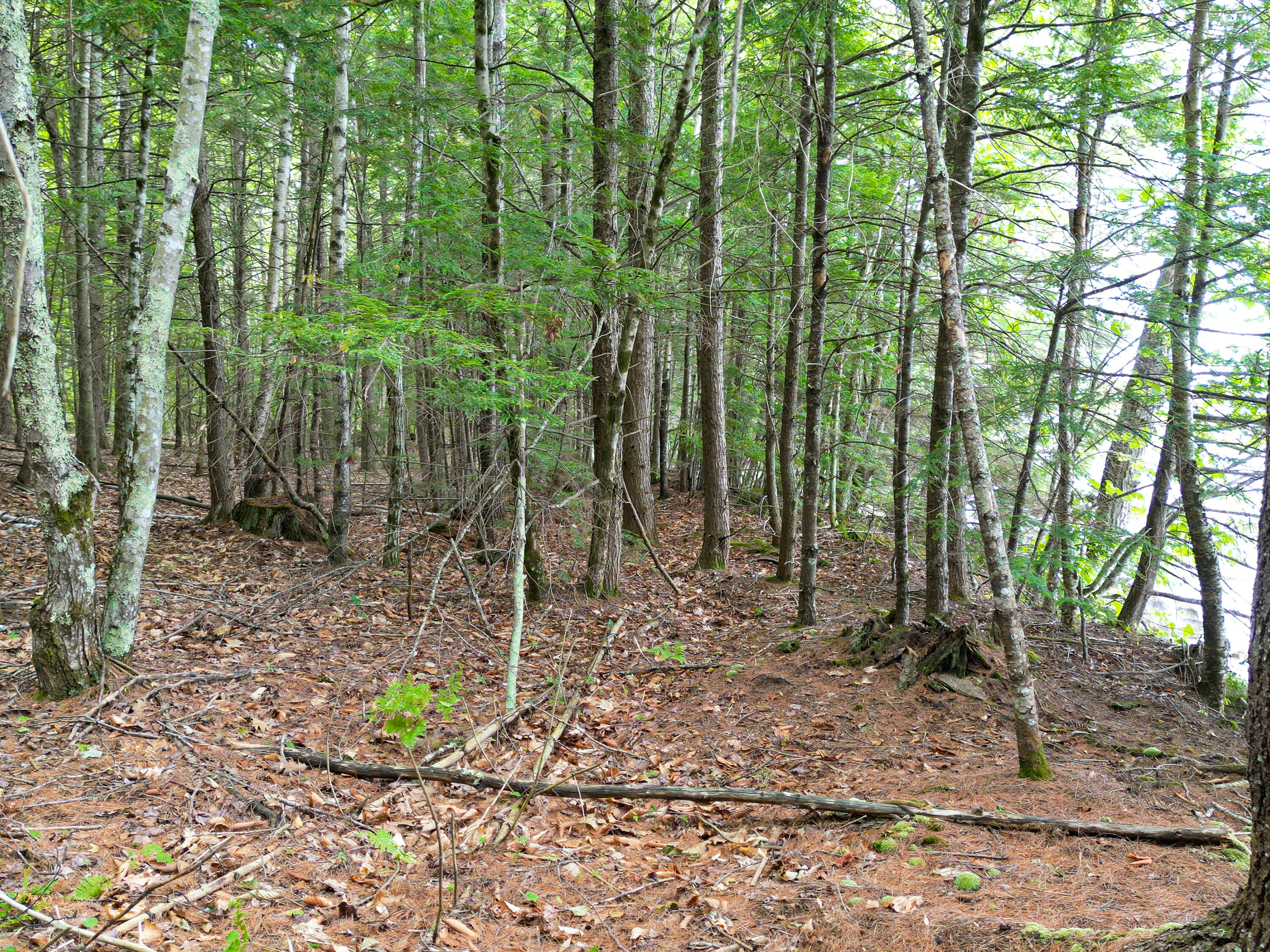 0 Osprey Point Belgrade ME 04917