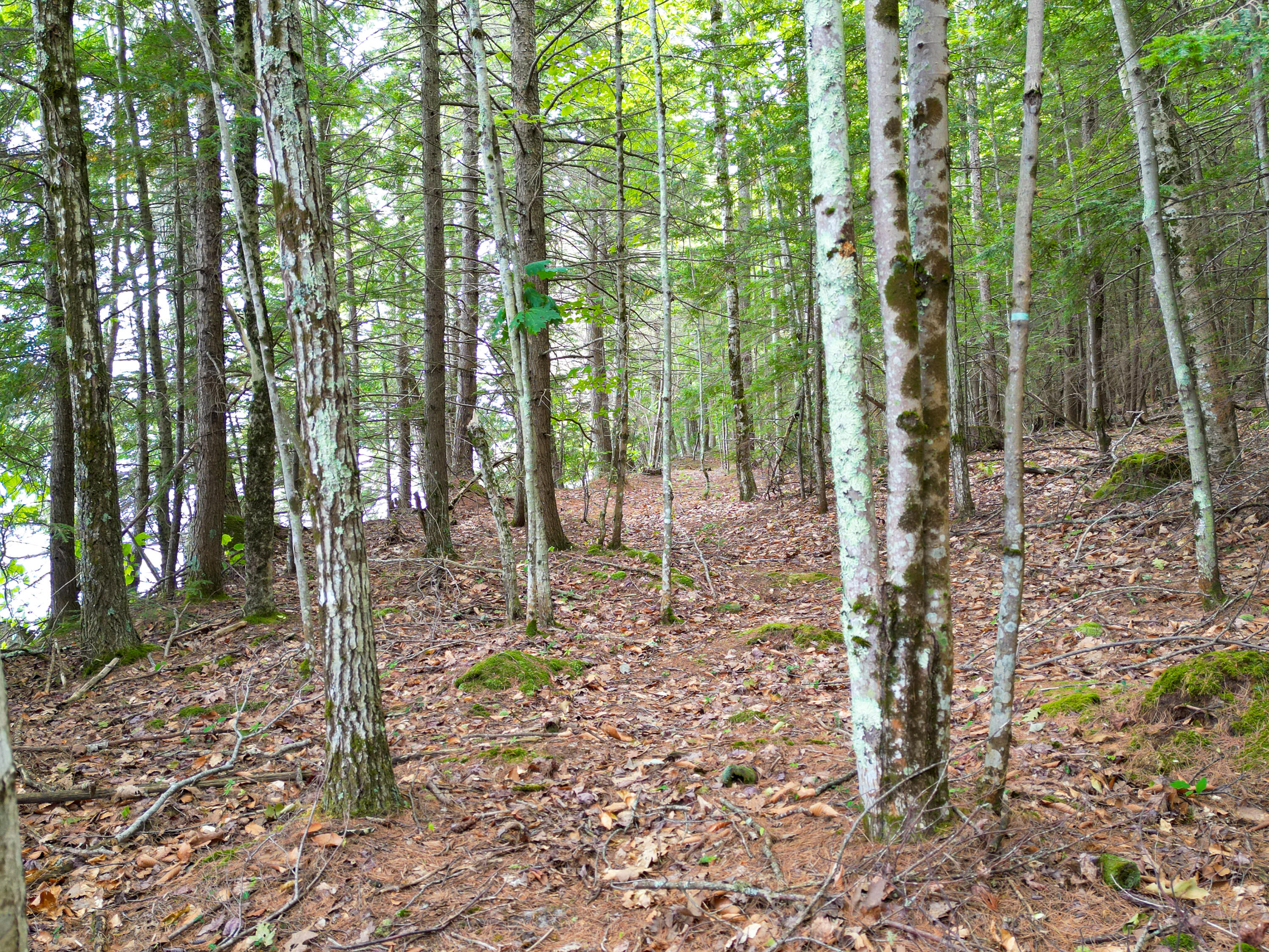 0 Osprey Point Belgrade ME 04917
