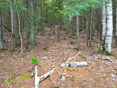 0 Osprey Point Belgrade ME 04917
