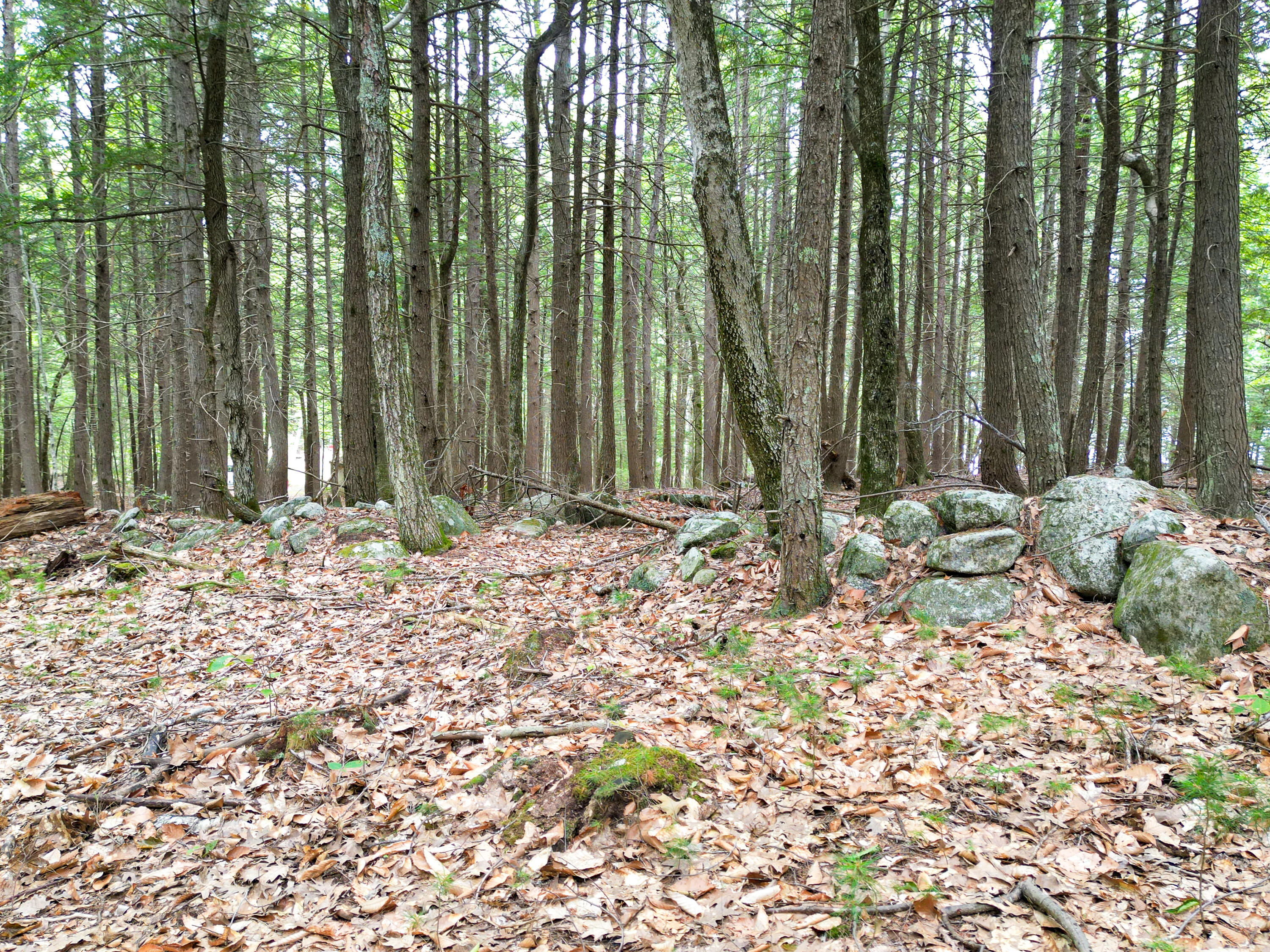 0 Osprey Point Belgrade ME 04917