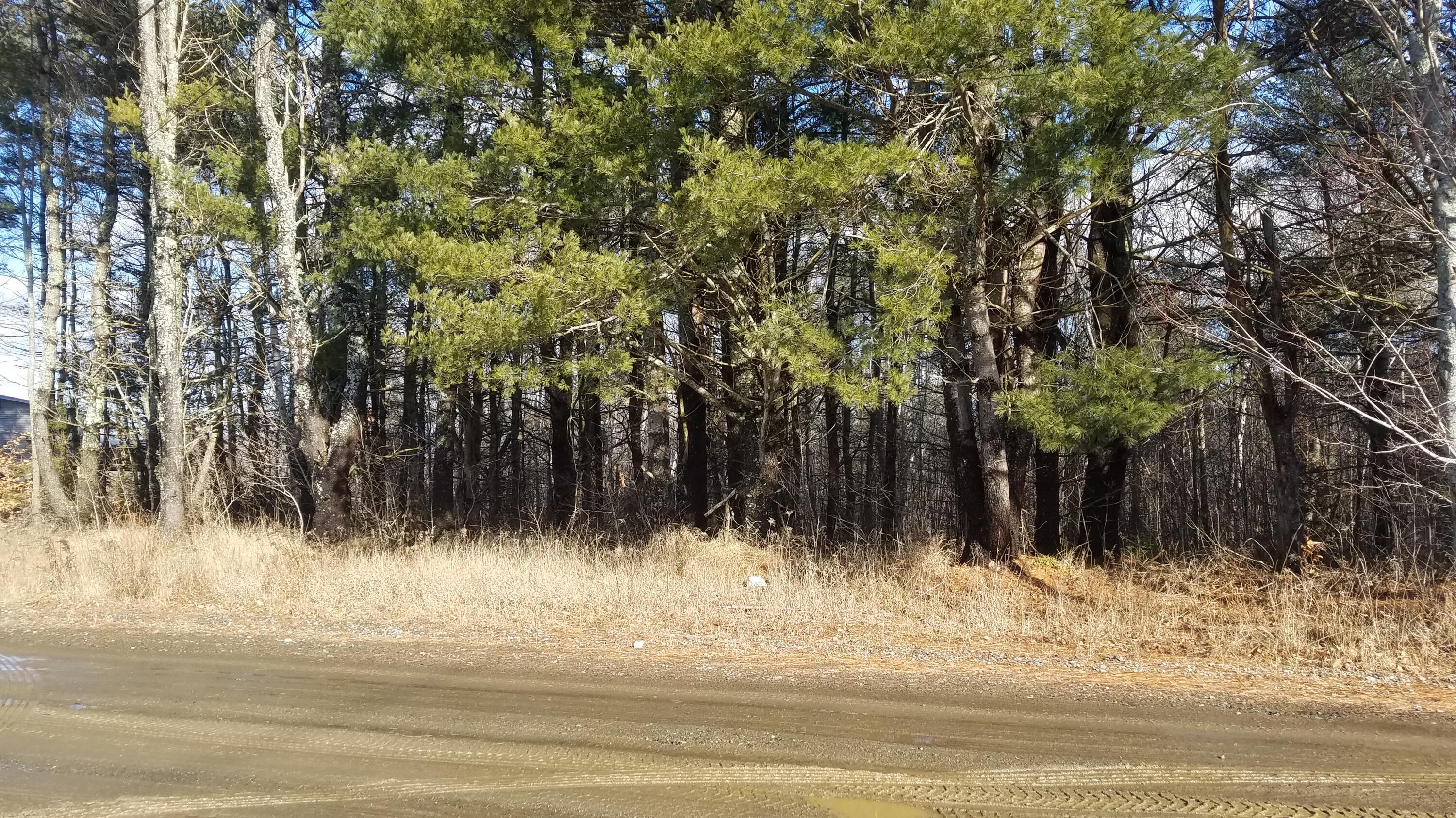 101 Temples Way Palermo Maine Real Estate Listing MLS 1519537