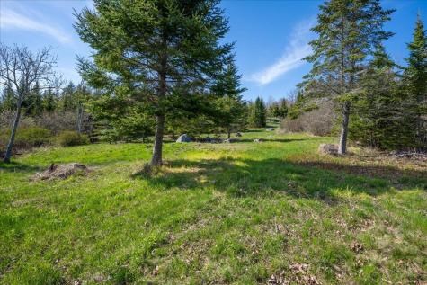 M17 L15 Perkins Street Castine ME 04421