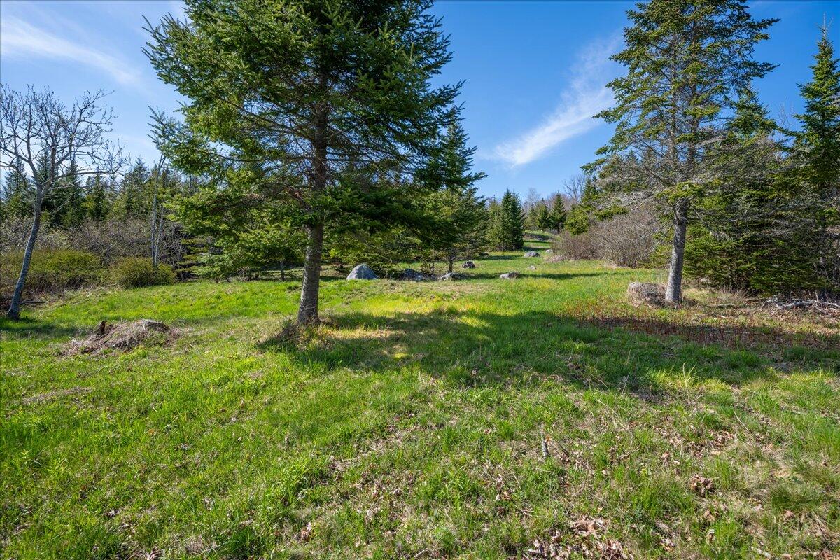 M17 L15 Perkins Street Castine ME 04421