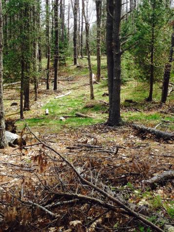 18 Peterson Lane Brunswick ME 04011