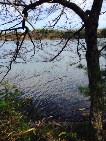 18 Peterson Lane Brunswick ME 04011