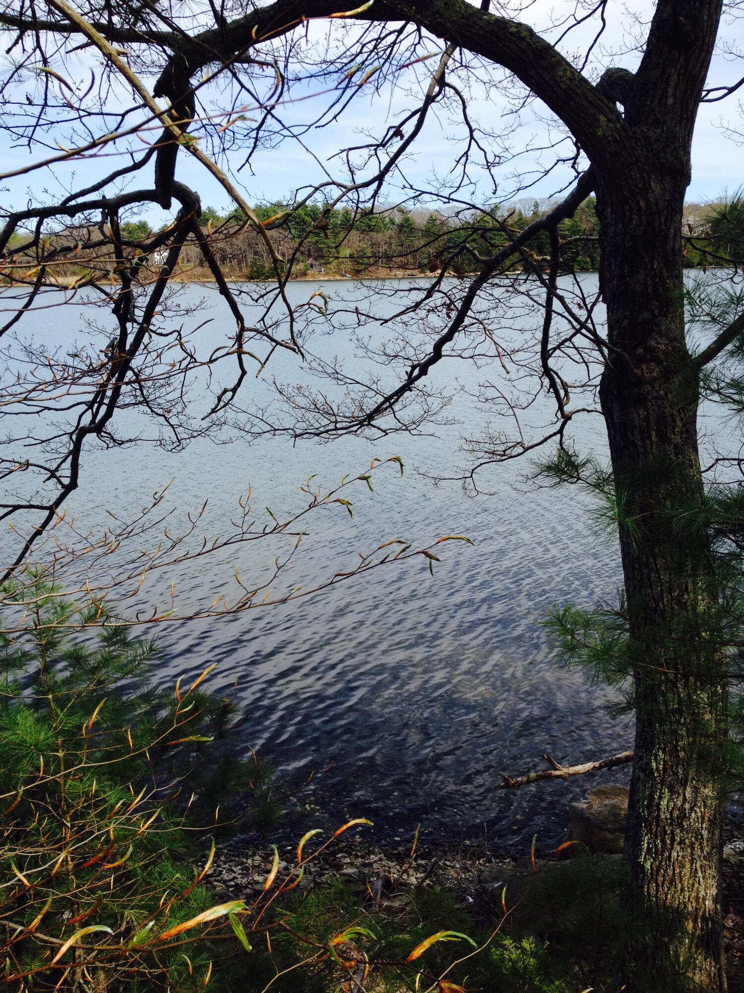 18 Peterson Lane Brunswick ME 04011