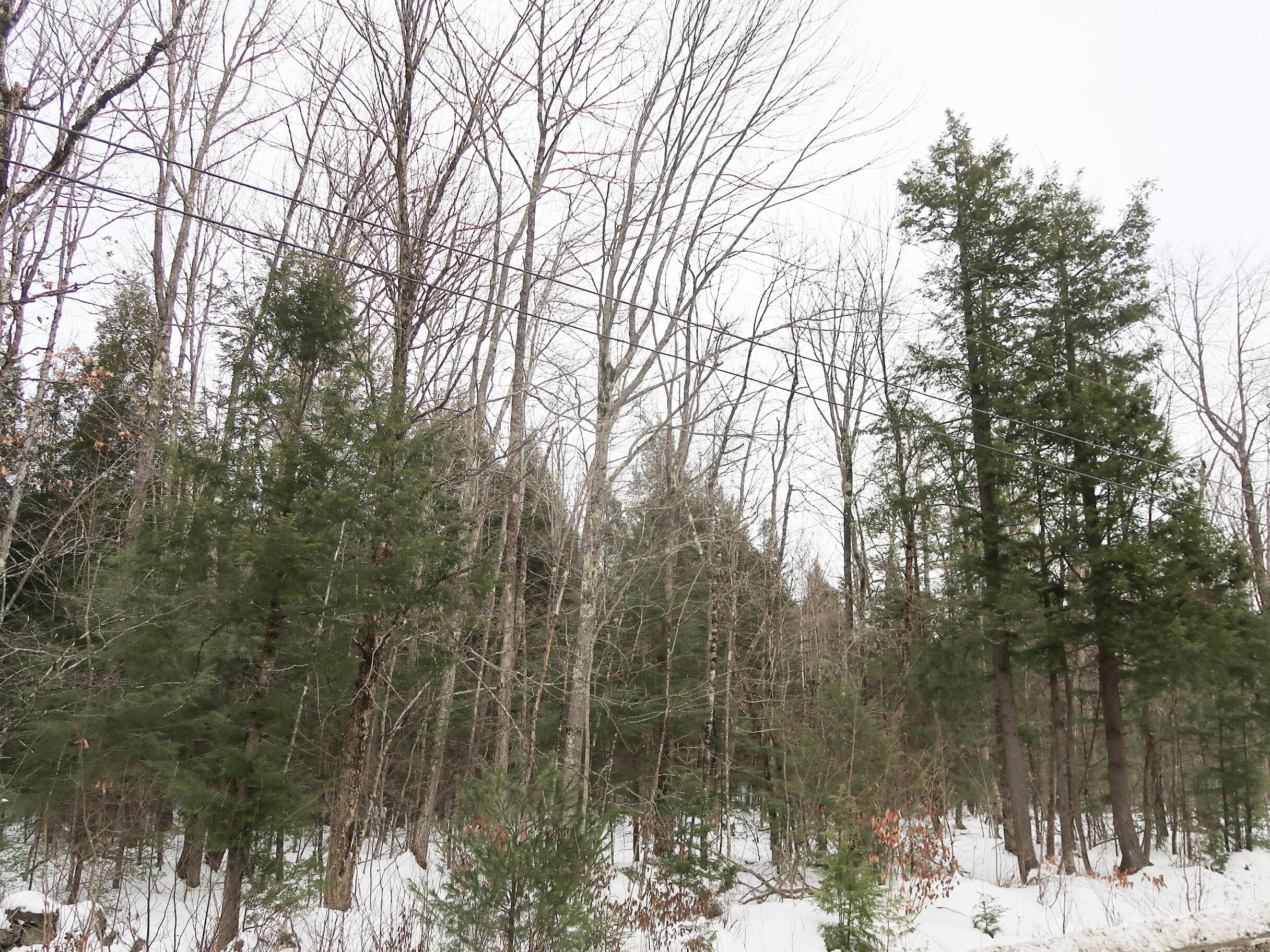 Lot #6 Beaver Dam Road Readfield ME 04355