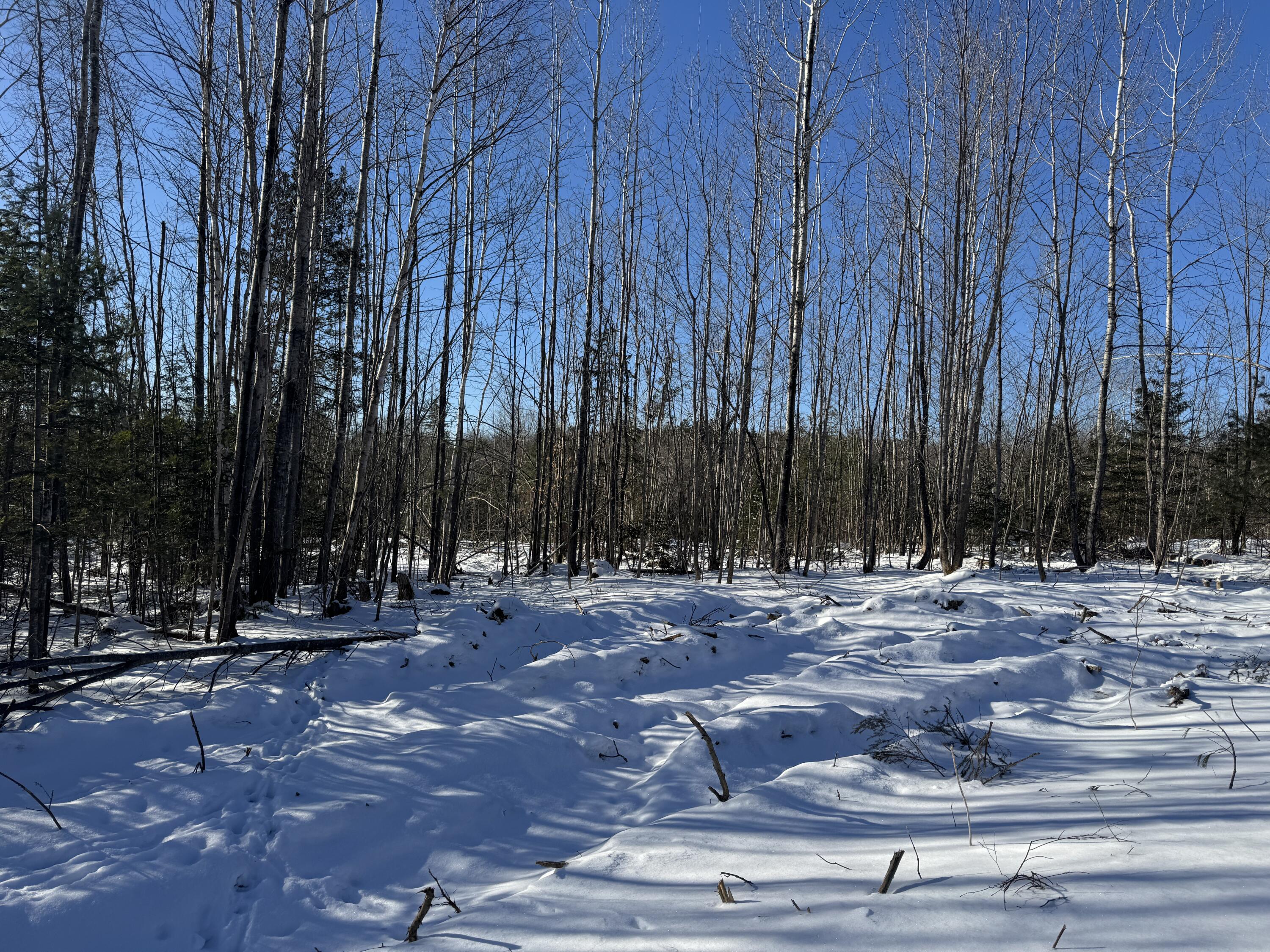 90 Holmes Road Dover-foxcroft ME 04426