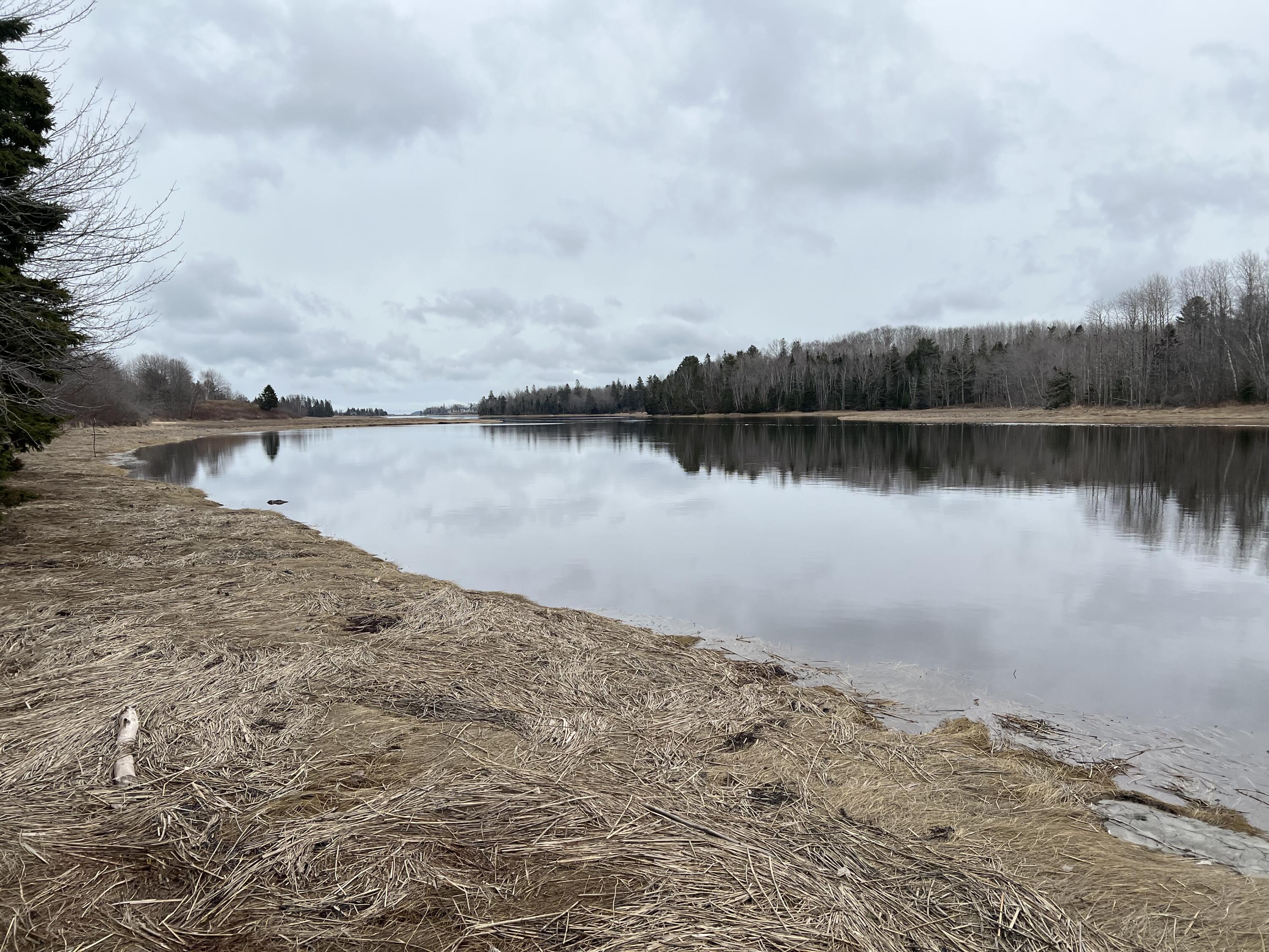 0 Kansas Road Milbridge ME 04658