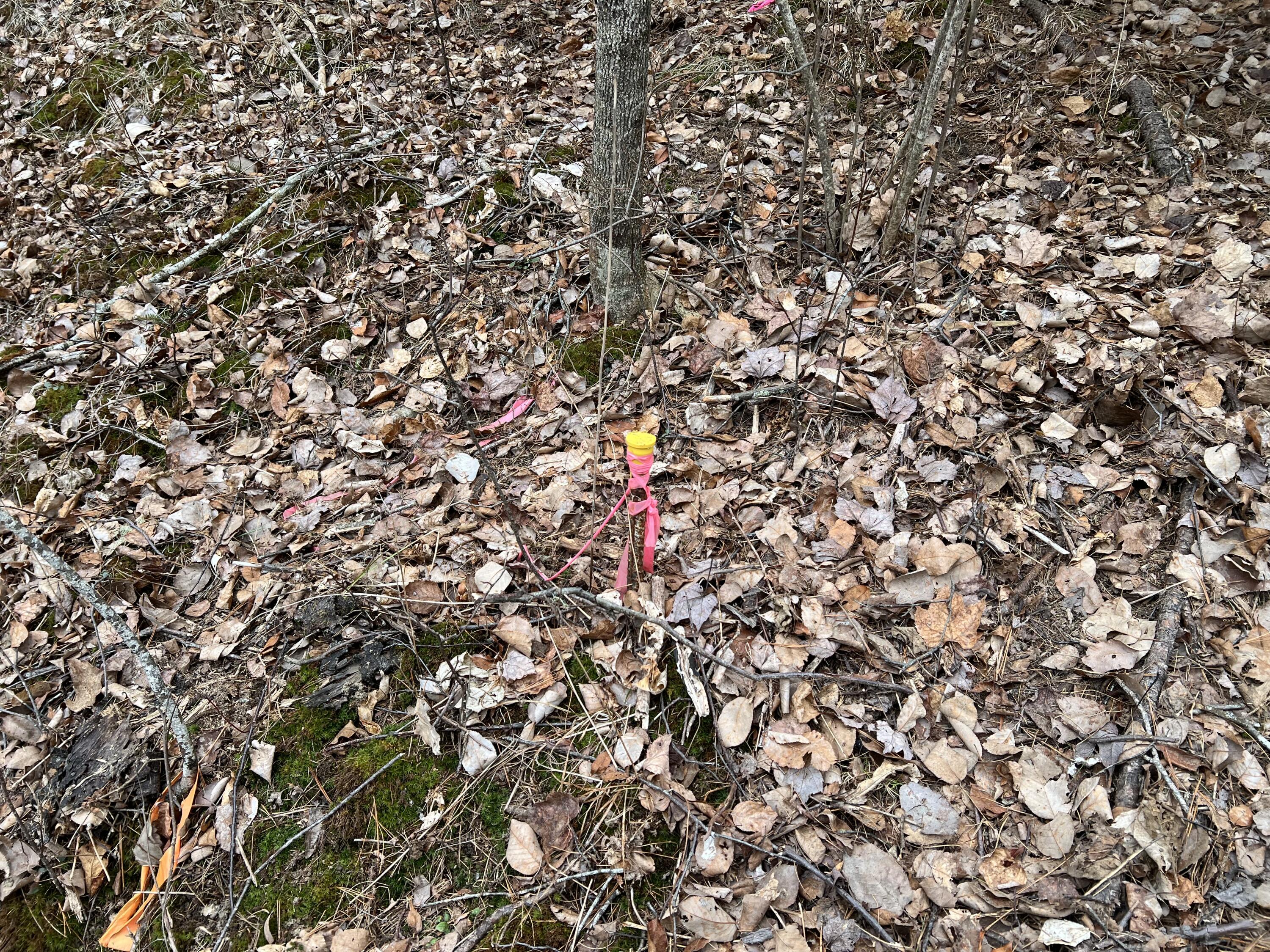 0 Kansas Road Milbridge ME 04658