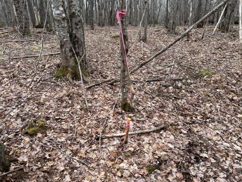 0 Kansas Road Milbridge ME 04658