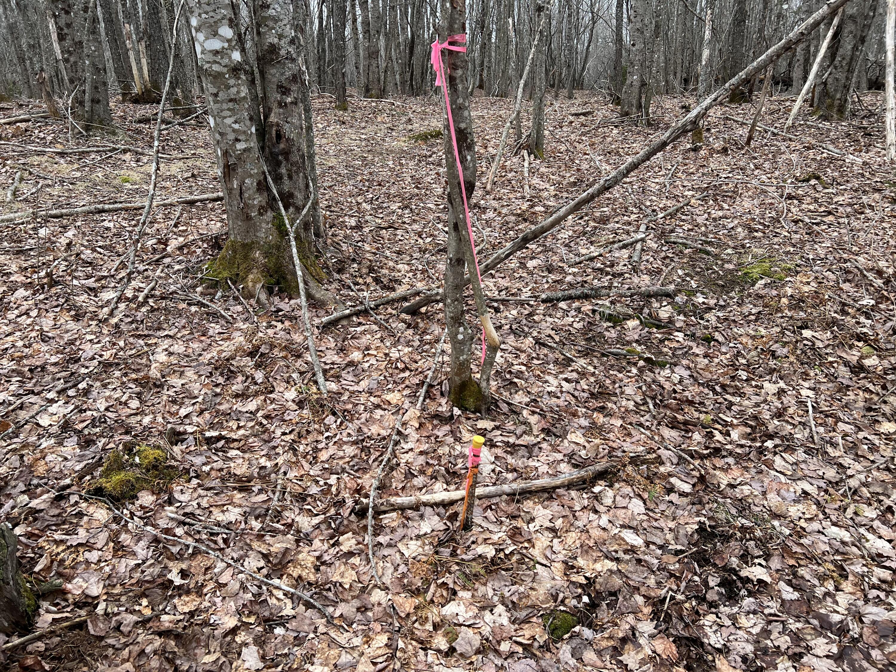 0 Kansas Road Milbridge ME 04658