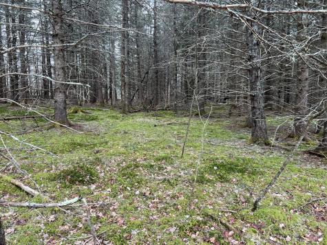 0 Kansas Road Milbridge ME 04658