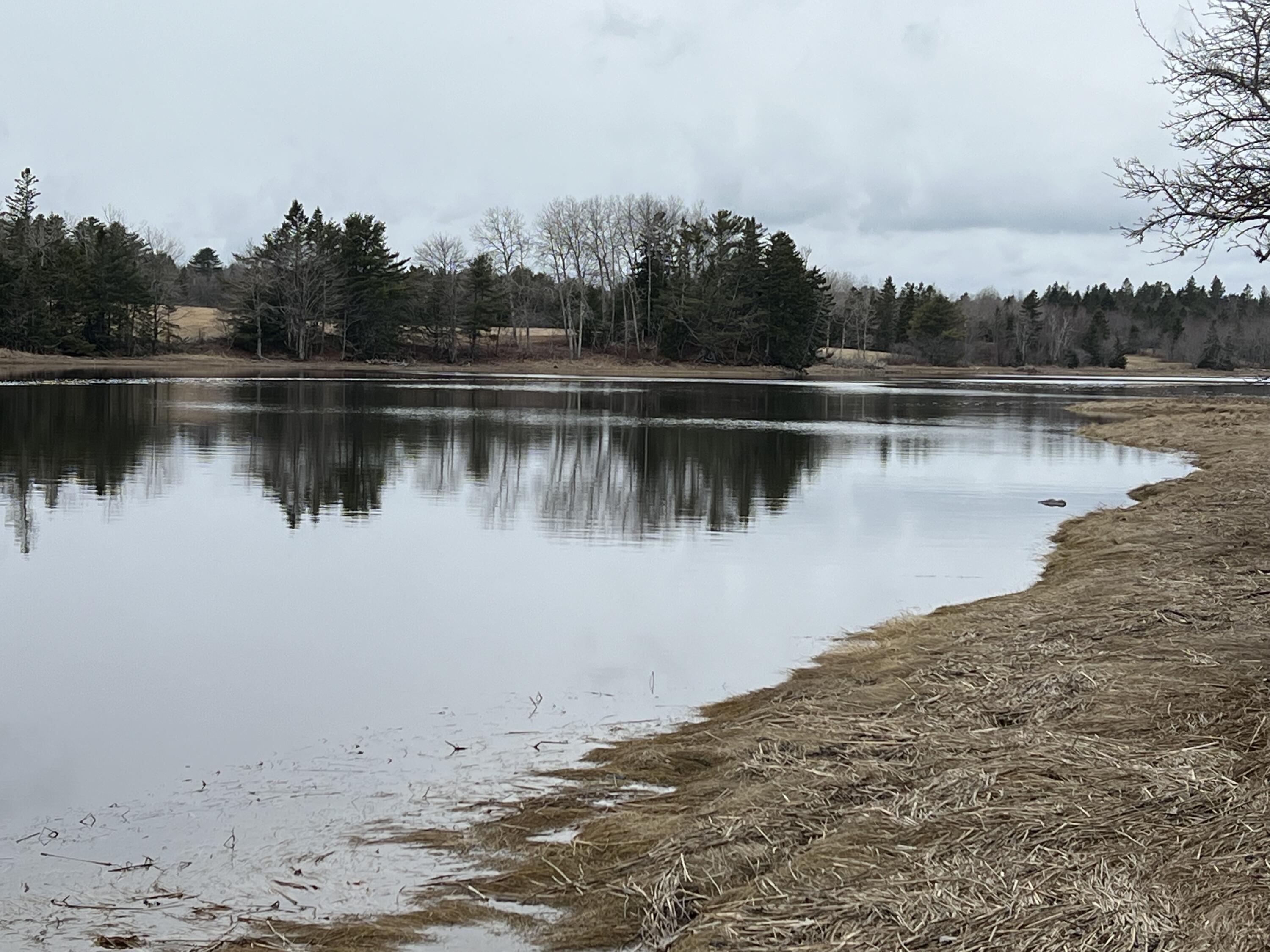 0 Kansas Road Milbridge ME 04658