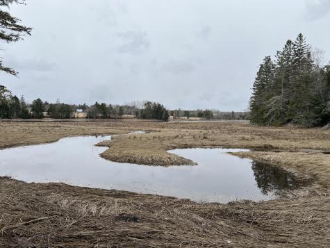 0 Kansas Road Milbridge ME 04658