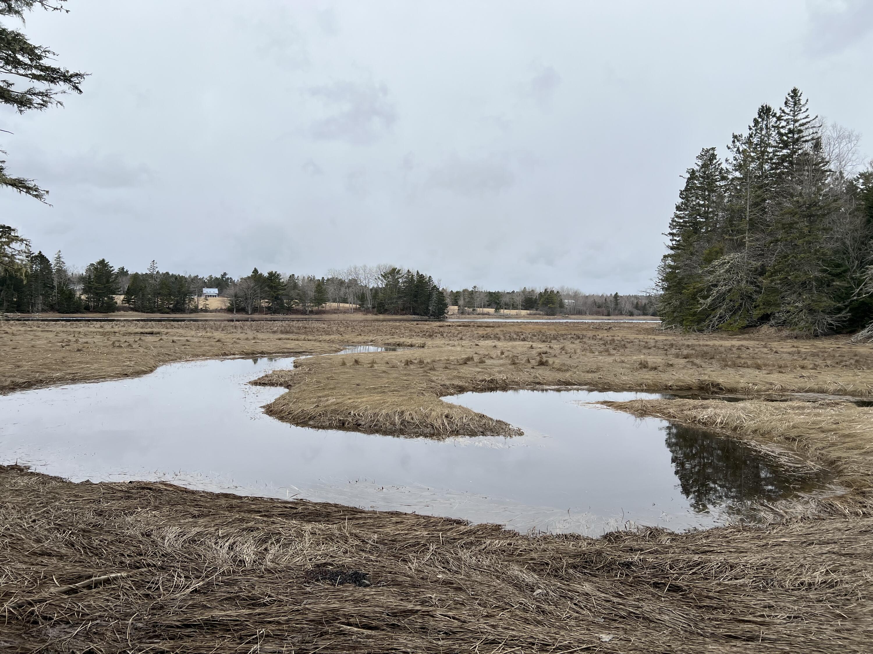 0 Kansas Road Milbridge ME 04658