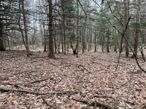 0 Kansas Road Milbridge ME 04658