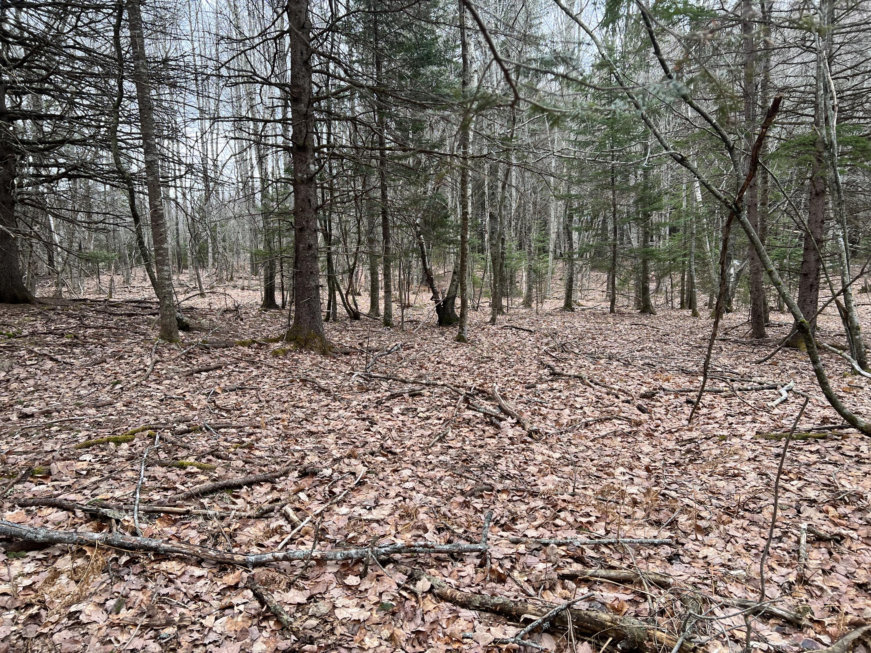 0 Kansas Road Milbridge ME 04658