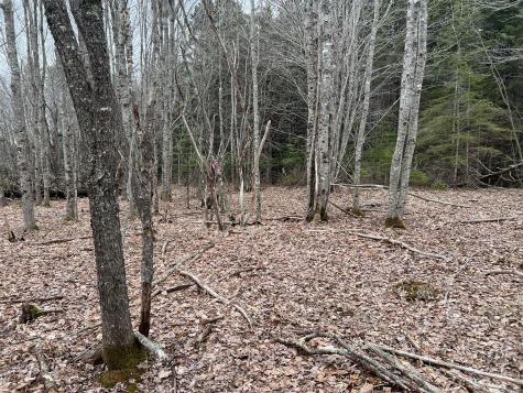 0 Kansas Road Milbridge ME 04658