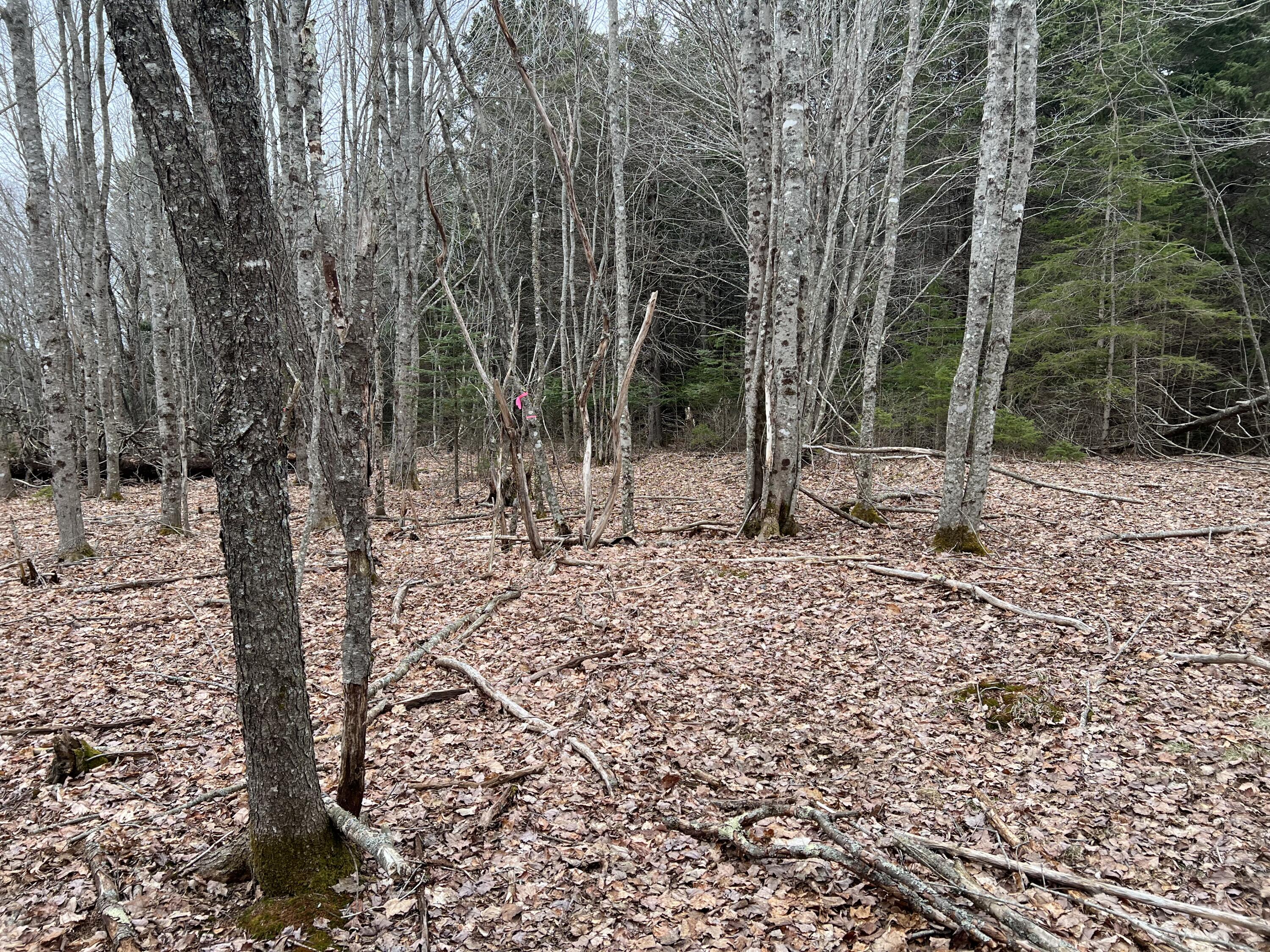 0 Kansas Road Milbridge ME 04658