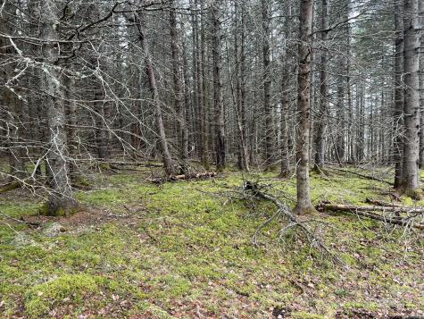 0 Kansas Road Milbridge ME 04658