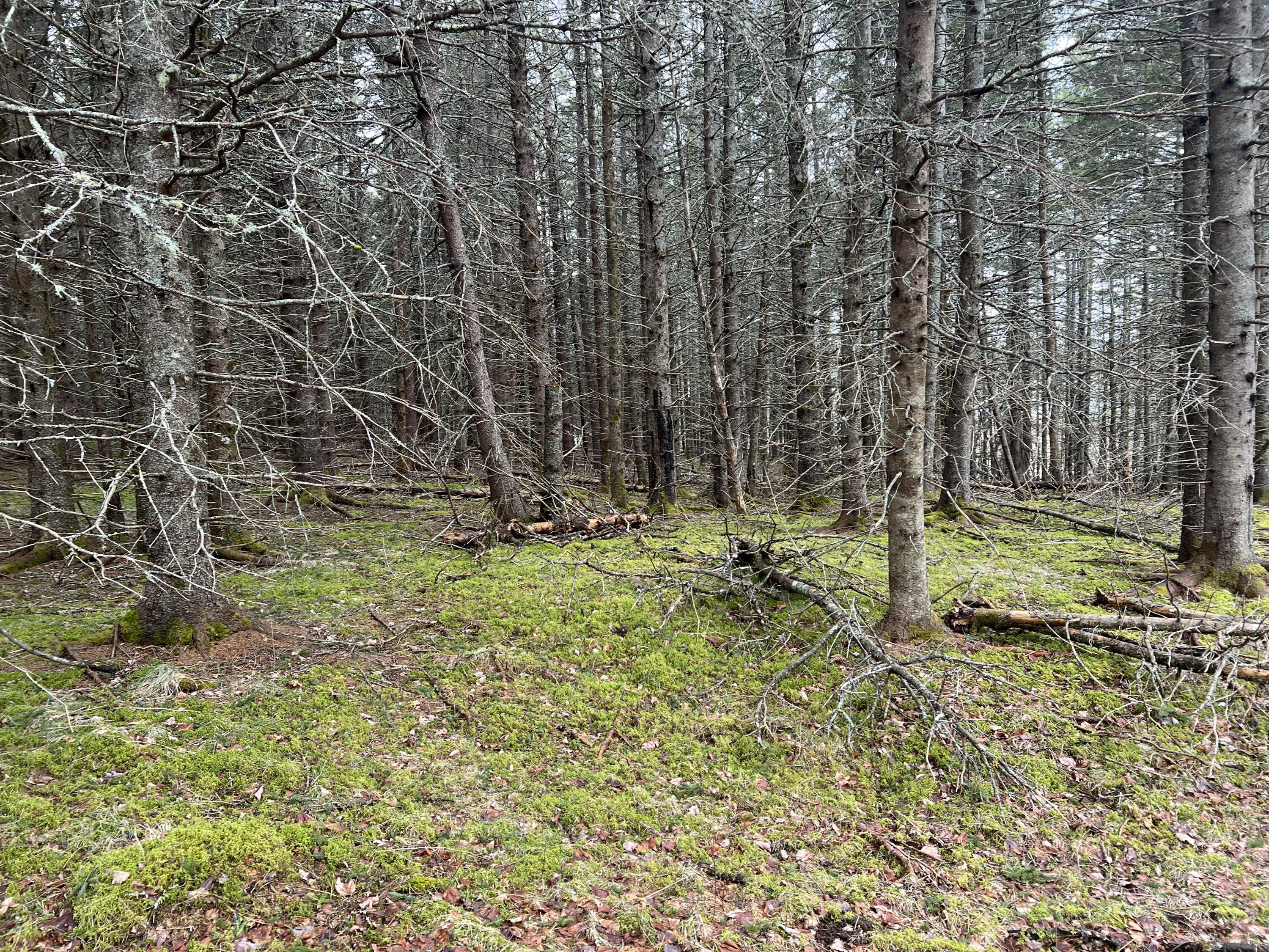 0 Kansas Road Milbridge ME 04658