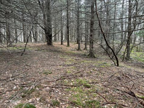 0 Kansas Road Milbridge ME 04658