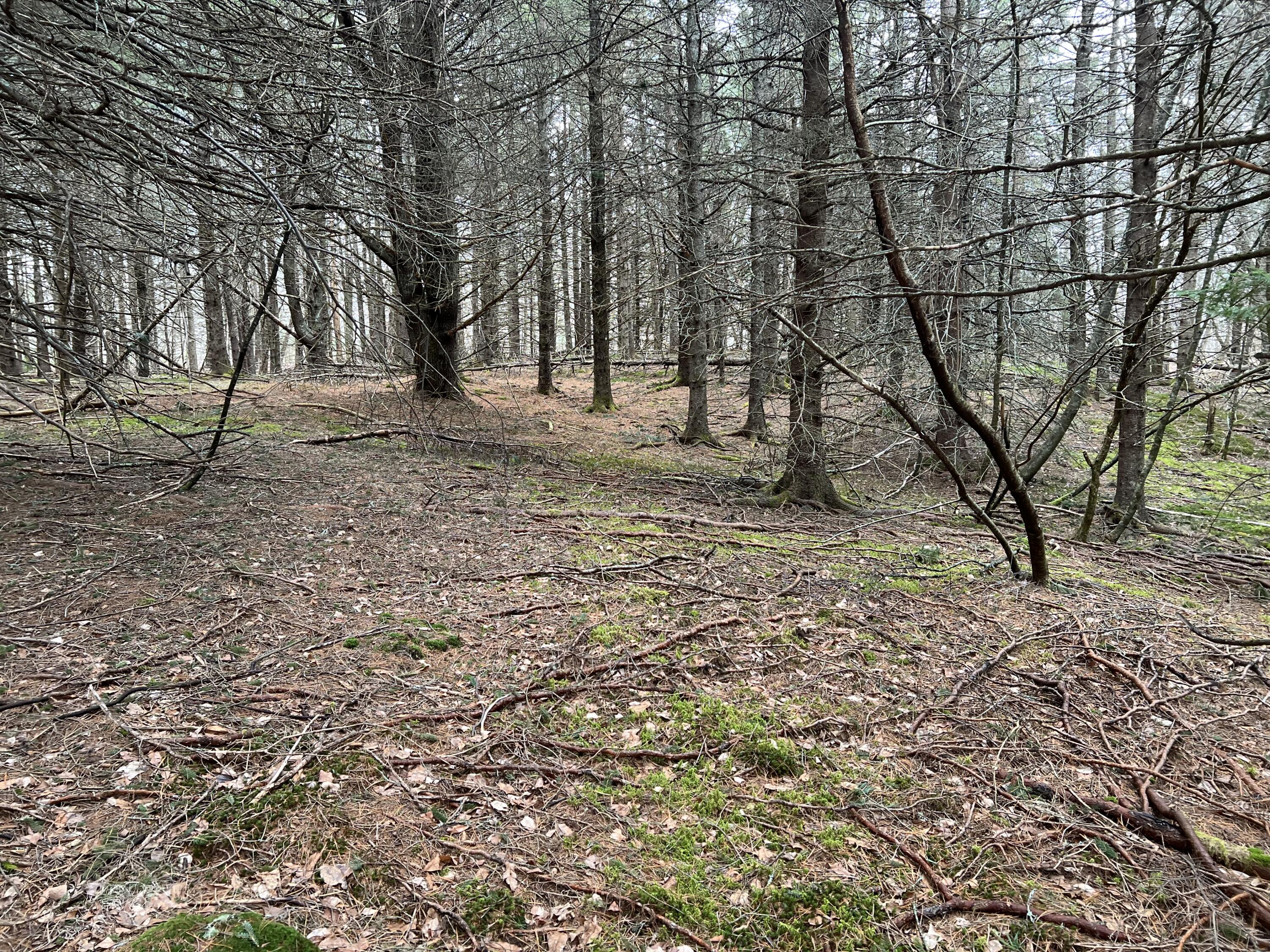 0 Kansas Road Milbridge ME 04658