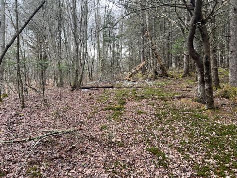 0 Kansas Road Milbridge ME 04658